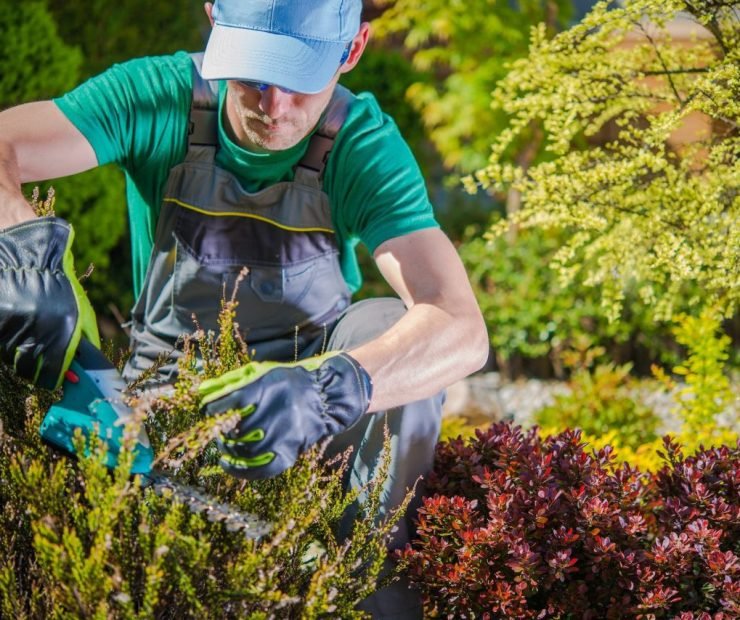 gardener-working-in-a-garden.jpg